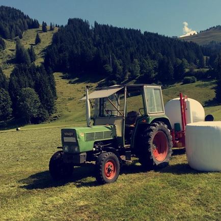 Feldarbeit im Sommer