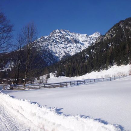 Spazierweg Richtung Haus