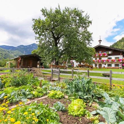 garten-bauernhof-12