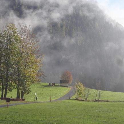 Nebel zieht