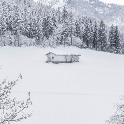 -®defrancesco_photography_Zimmerfotos_Ascherbauer-