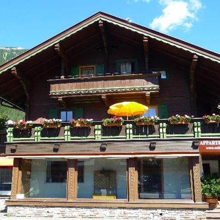 Ferienwohnungen Millinger Ernst