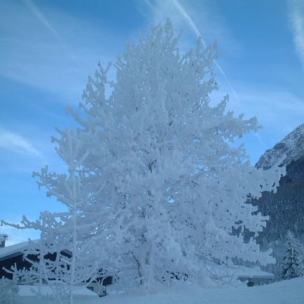 Winterlandschaft