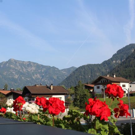 Sommer Blick Fellhorn