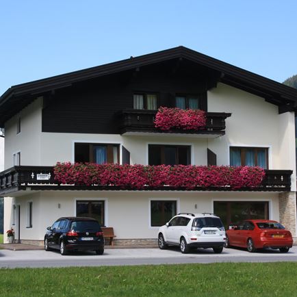 Alpenrose