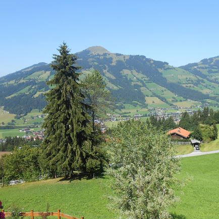 Sommerfoto Appartement Berfried