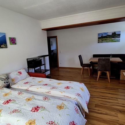 Wohnraum mit Ausziehbett