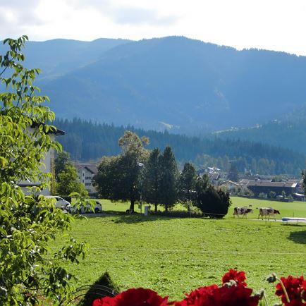 Aussicht von Appartement Nr. 1 u. Nr. 3