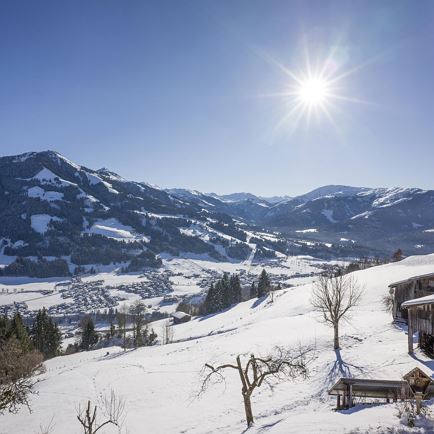Bauernhof Troadstadl