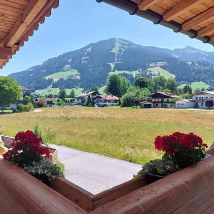 Aussicht Sommer
