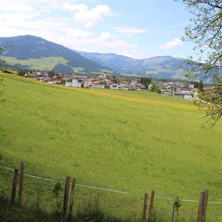 Blick Sommer