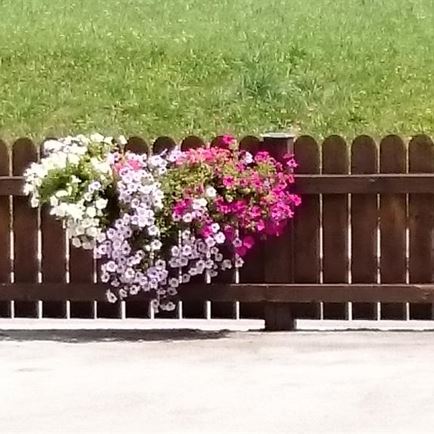 Herzliche Blumengrüße