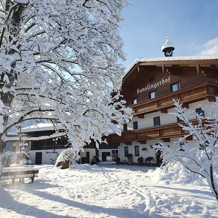 Hanslingerhof Winter