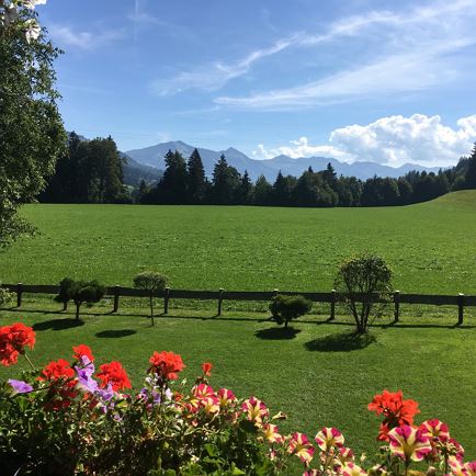 Aussicht im Sommer