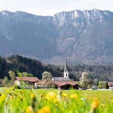Frühling @Region Hohe Salve - Amer Alexander