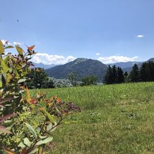 IMG_2564