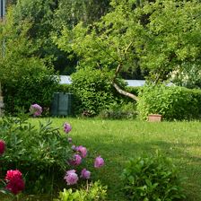 Garten