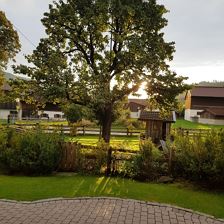 Aussicht am Morgen