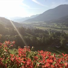 Aussicht vom Balkon