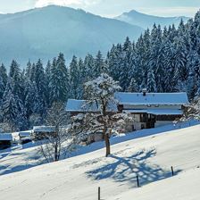 Winter