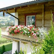 Sommer