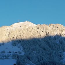 Winter-4