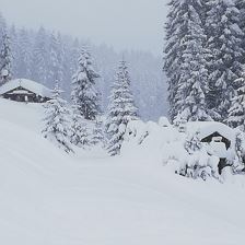 Winterlandschaft an der Tanzernabfahrt v. 04.01.19