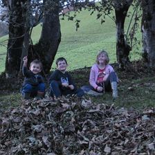 Herbstimpressionen