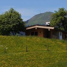 Hohe Salve