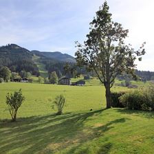 Aussicht von der Terasse