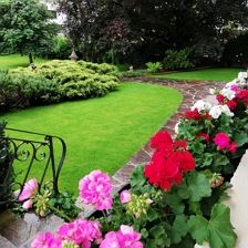 Garten