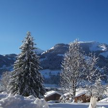 Aussicht Haus Ehrensberger
