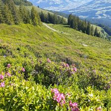IMG_20240618_091727