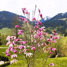 IMG_20250422_082230