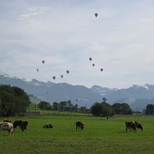 jpg.ballonwoche