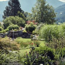 Garten