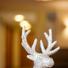 Glitzerhirsch