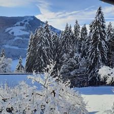 Taumhafte Aussicht