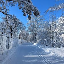 a3ed6edd-2b09-4d03-8d55-7b52f01f1cc8