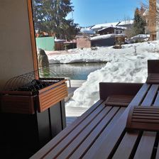 Sauna mit Teich Winter