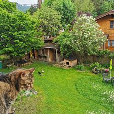 Garten mit Ellie