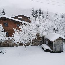 Garten Winter 2