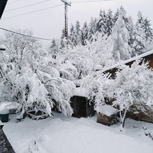 Garten Winter