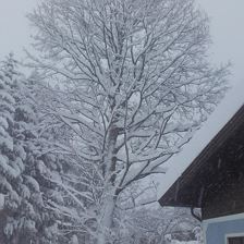 Winter in Tirol Erpfendorf