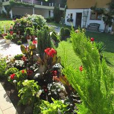 Landhaus Mühlau SommerII