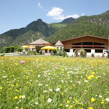 Hanneshof Erpfendorf Tirol