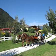 Hanneshof Erpfendorf Tirol