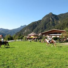 Hanneshof Erpfendorf Tirol