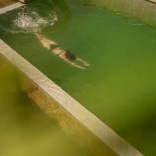 Schwimmteich Model (13)