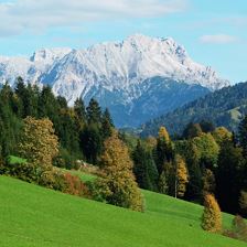 Aussicht vom Elsbichlhof